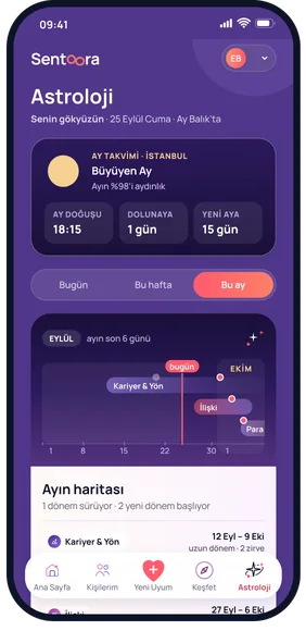 Uygulama ekranı: Kişisel Astroloji, Bu ay sekmesi ve Ayın haritası