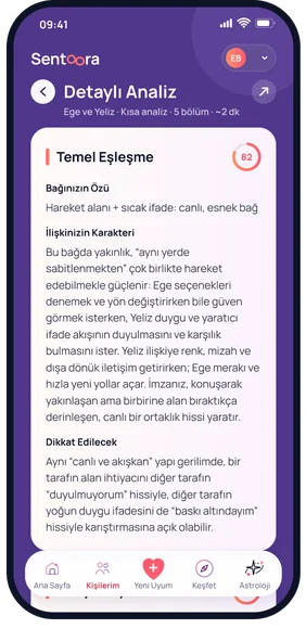 Uygulama ekranı: Detaylı Analiz, Temel Eşleşme bölümü