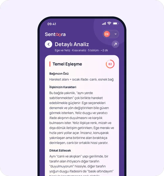 Uygulama ekranı: detaylı uyum analizinin Temel Eşleşme bölümü